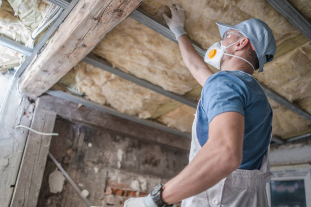 Best Insulation Maintenance and Repair in Rapid Valley, SD