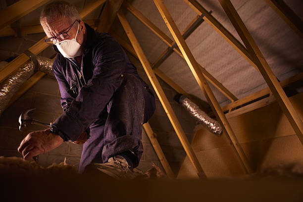 Best Cellulose Insulation in Rapid Valley, SD